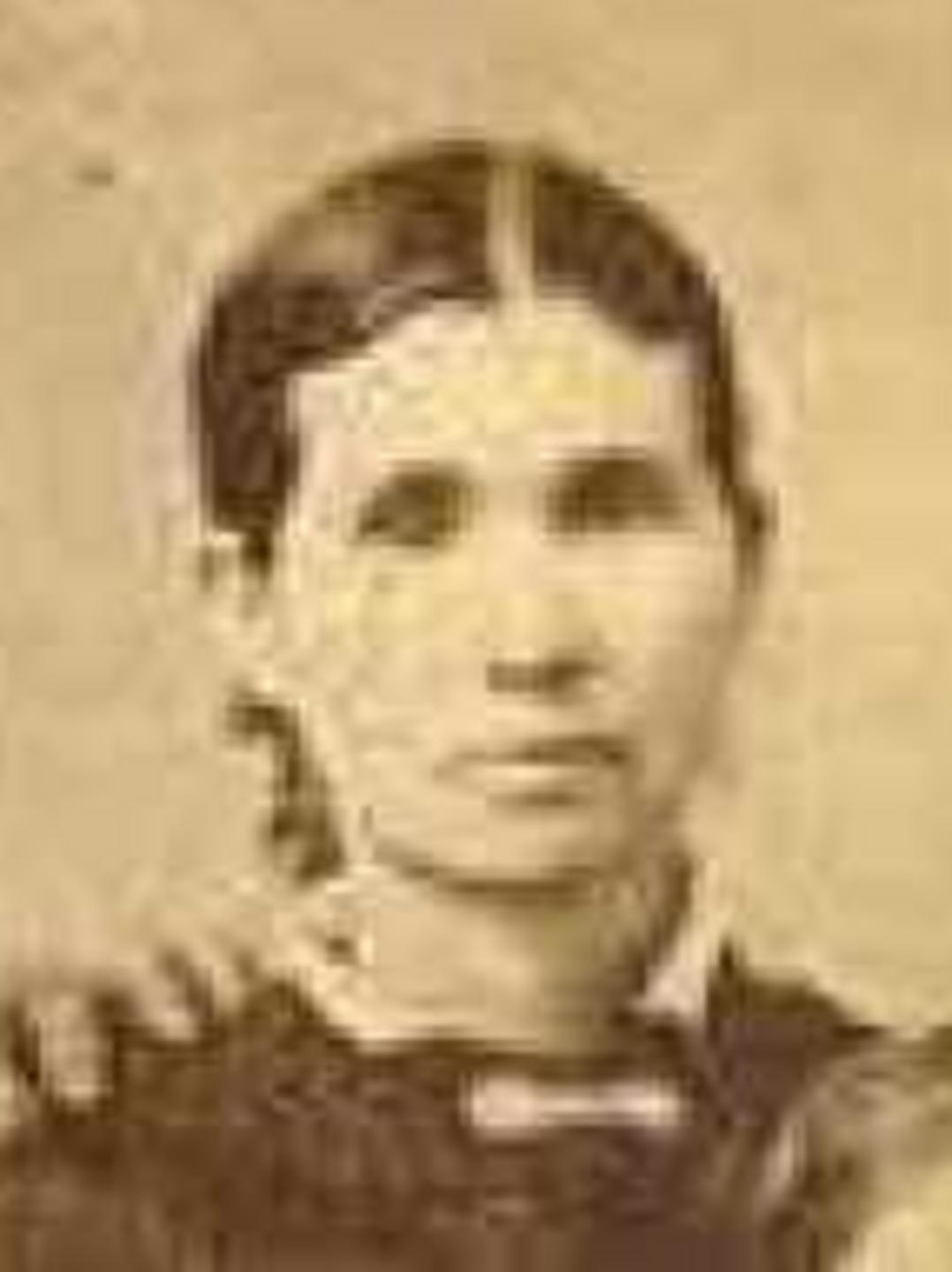 Janette Hargraves (1844 - 1897) Profile